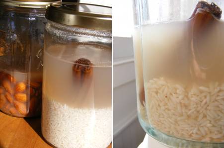 Horchata Rice Soak Blender - ForkFingersChopsticks