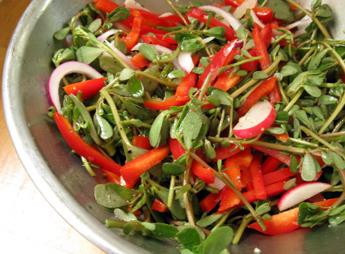 Raw Purslane Verdolaga Weed Salad_ForkFingersChopsticks.com